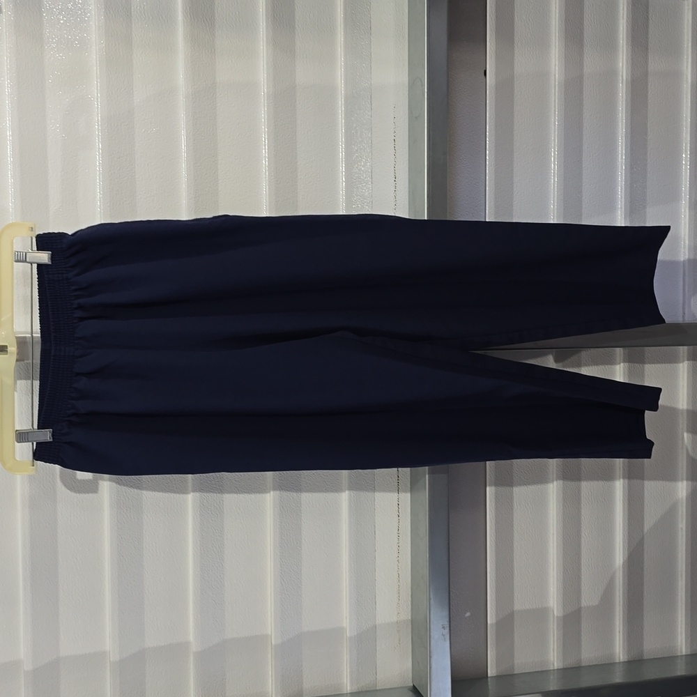 Bon Worth Elastic Waist Blue Pants Size SP